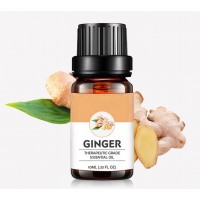 Private Label Organic Natural Pure Ginger Essential Oil wholesale Ginger Oil Hair Growth